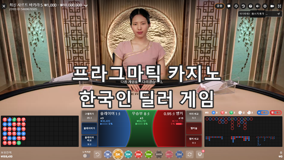 한국인 딜러가 진행하는 온라인 카지노 소개